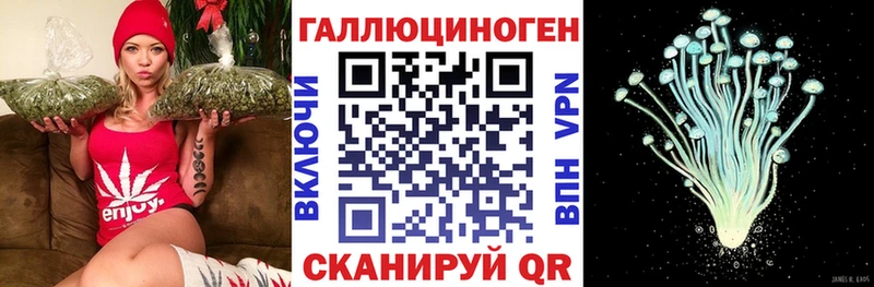 Псилоцибиновые грибы Psilocybine cubensis Ахтубинск